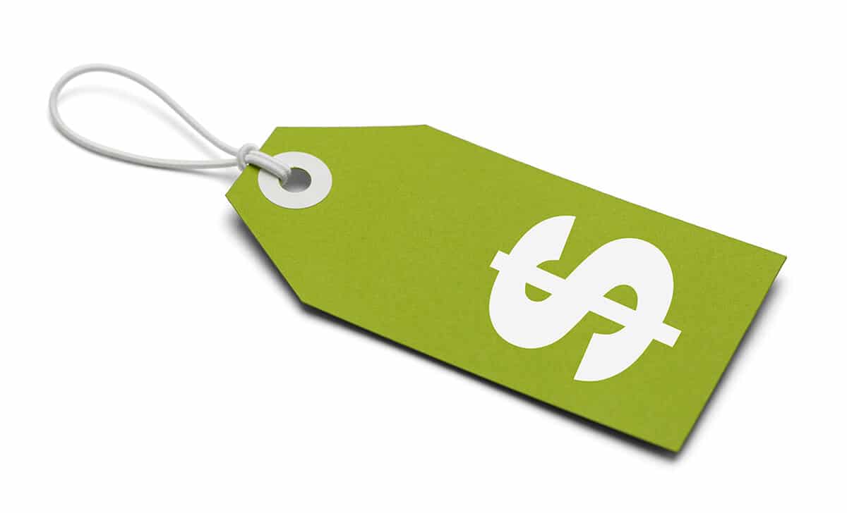 Initial costs versus Maintenance costs of a WordPress Website